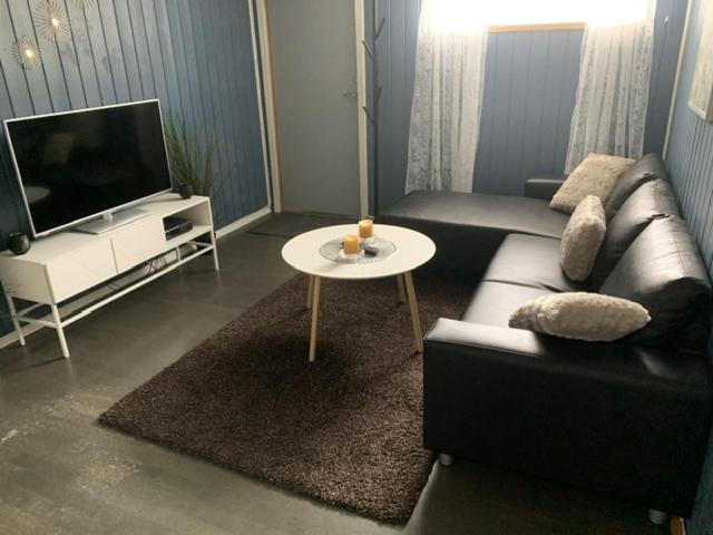Apartmán Trivelig Leilighet Gratis Parkering Pa Stedet! Porsgrunn Exteriér fotografie